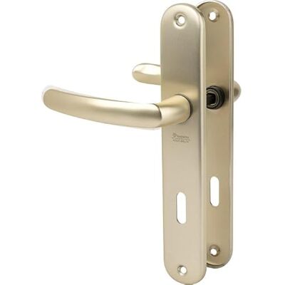 BEZAULT SAS - Set di porte economiche bezault Interasse 195 mm Chiave l - Champagne BEZAULT SAS - Set di porte economiche bezault Interasse 195 mm Chiave l - Champagne