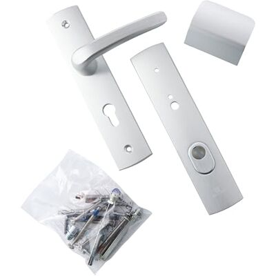 Bricard Set di maniglie schermate su piastra EMUST con cavalletto e alettone per porta d'ingresso (per cilindro europeo), colore: Argento Bricard Set di maniglie schermate su piastra EMUST con cavalletto e alettone per porta d'ingresso (per cilindro europeo), colore: Argento