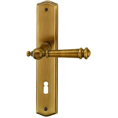 Alpertec haeusler-shop ron – LS ottone brunito per stanza porte maniglia maniglia da porta, guarnizioni porta Alpertec haeusler-shop ron – LS ottone brunito per stanza porte maniglia maniglia da porta, guarnizioni porta