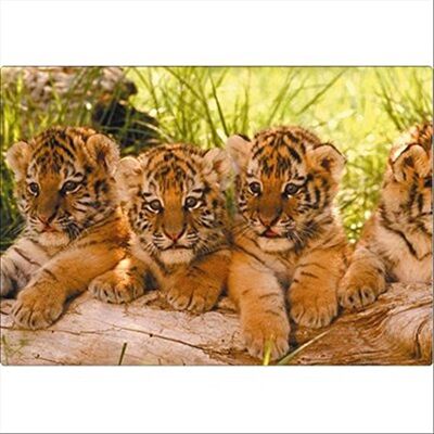 Fellowes Tappetino Mouse, Cuccioli Tigre Fellowes Tappetino Mouse, Cuccioli Tigre