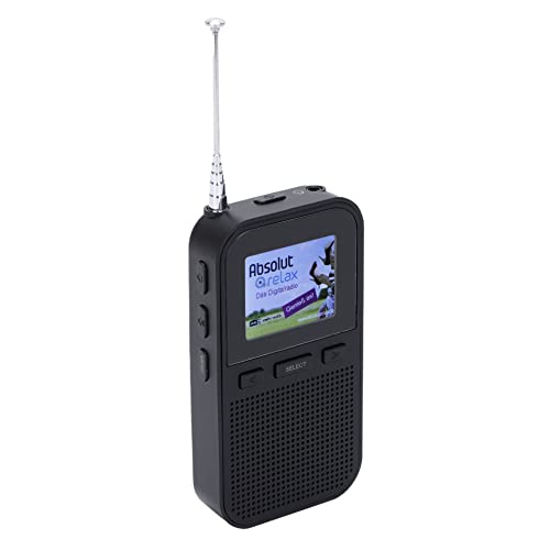 Denver Pocket DAB+/FM Radio con batteria ricaricabile DAH-126