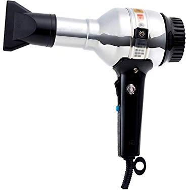 Yongyu Chenzinan Asciugacapelli 1000W Potente asciugacapelli Portable di corsa rapida asciugatura dei capelli Leggero phon caldo/freddo metallo Shell asciugacapelli Brush (Color : Silver)