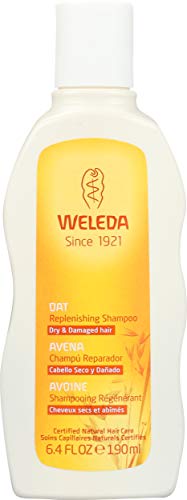 Weleda Oat Replenishing Shampoo, 6.4 Fluid Ounce by
