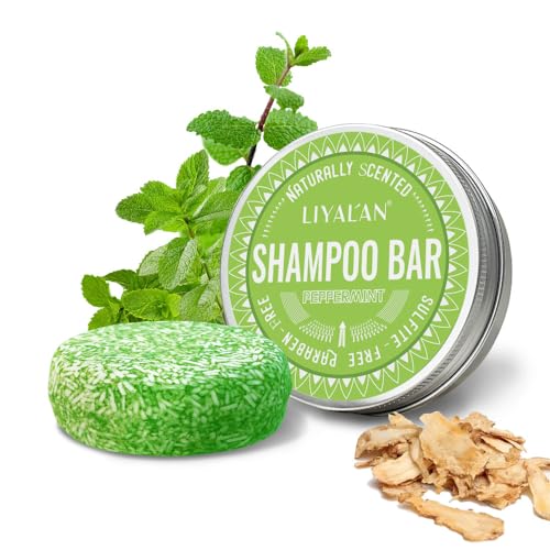 Aoomud Confezione Da 2 Shampoo Solido Per Capelli, Sapone Solido Fatto A Mano Con Prodotti Organici Naturali Puri Senza Additivi (menta)