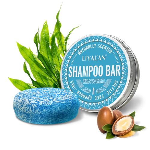 Aoomud Confezione Da 2 Shampoo Solido Per Capelli, Sapone Solido Fatto A Mano Con Prodotti Organici Naturali Puri Senza Additivi (Alga marina)