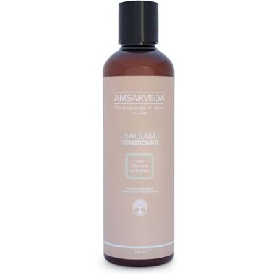Amsarveda Conditioning Balsam – Balsamo Naturale al 100% per Capelli Secchi, Danneggiati e Trattati Chimicamente – Con Rosa, Aloe Vera e Cartamo – Senza Siliconi, Parabeni e SLS – 250 ml Amsarveda Conditioning Balsam – Balsamo Naturale al 100% per Capelli Secchi, Danneggiati e Trattati Chimicamente – Con Rosa, Aloe Vera e Cartamo – Senza Siliconi, Parabeni e SLS – 250 ml