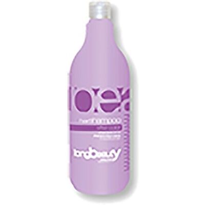 Beauty evolution Shampoo professionale after color dopo colore a ph acido specifico per il mantenimento del colore(1000ml) Beauty evolution Shampoo professionale after color dopo colore a ph acido specifico per il mantenimento del colore(1000ml)