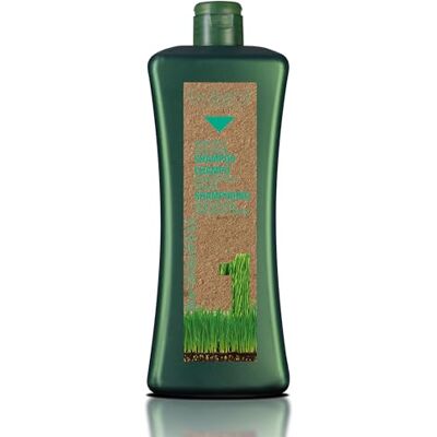 SALERM Shampoo Antigrasa Shampoo Specifico Grasso Biokera Natura 1000 ml per Capelli Grassi con Lievito di Birra Pulizia delicata Proprietà Seboregolatrici SALERM Shampoo Antigrasa Shampoo Specifico Grasso Biokera Natura 1000 ml per Capelli Grassi con Lievito di Birra Pulizia delicata Proprietà Seboregolatrici