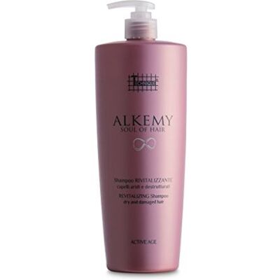 TECHNIQUE ALKEMY SHAMPOO RIVITALIZZANTE CAPELLI DESTRUTTURATI SECCHI 1000ML TECHNIQUE ALKEMY SHAMPOO RIVITALIZZANTE CAPELLI DESTRUTTURATI SECCHI 1000ML