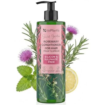 Vis Plantis Balsamo Naturale al Rosmarino Balsamo Vegano per Capelli Grassi e Oleosi Balsamo per Capelli, Mariano ed Estratto di Rosmarino Deterge Nutre e Rinforza le Ciocche 400 ml Vis Plantis Balsamo Naturale al Rosmarino Balsamo Vegano per Capelli Grassi e Oleosi Balsamo per Capelli, Mariano ed Estratto di Rosmarino Deterge Nutre e Rinforza le Ciocche 400 ml