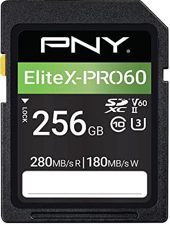 PNY Scheda di Memoria SDXC 256GB EliteX-PRO60 Class 10 U3 V60 UHS-II