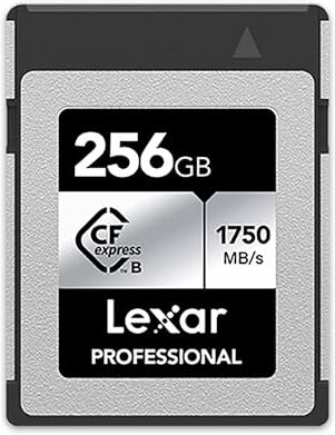 Lexar CFexpress Professional 256GB, Tipo B, 1000MB/s, per registrare video 4k, Serie Silver, Grigio