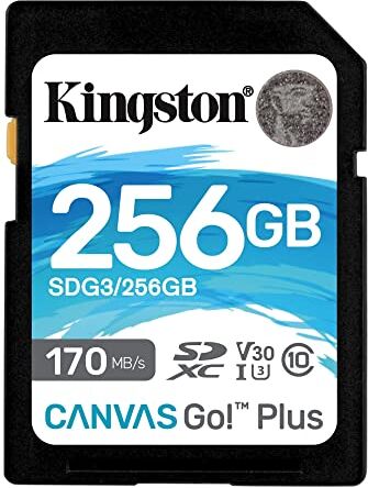 Kingston SDG3/256GB Scheda di Memoria SD (256GB SDXC Canvas Go Plus 170R C10 UHS-I U3 V30)