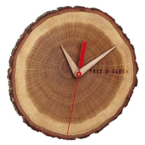 TFA Dostmann Tree-O-Clock  Orologio da parete in legno di quercia di alta qualità, realizzato a mano nell'UE, pezzo unico, oliato, quercia, marrone, 242 x 42 x 234 mm