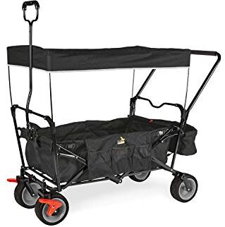 PINOLINO Paxi dlx Comfort Carrello pieghevole con freno, con tettuccio parasole e borsa per il trasporto, comoda maniglia scorrevole, portata 70 kg, colore: Nero