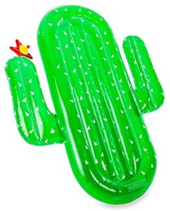 Didak Pool Gioco da esterno  – Materasso/salvagente gonfiabile – Salvagente cactus – 185 x 132 x 20 cm