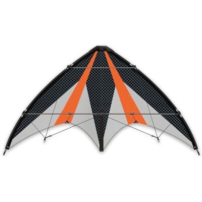 GÜNTHER FLUGSPIELE Aquilone Sportivo a sterzo Synergy 125 GX, Vela in Poliestere Ripstop, con Due Bobine a sterzo e Corde, Dimensioni Circa 125 x 54 cm, Adatto a Bambini dai 10 Anni in su GÜNTHER FLUGSPIELE Aquilone Sportivo a sterzo Synergy 125 GX, Vela in Poliestere Ripstop, con Due Bobine a sterzo e Corde, Dimensioni Circa 125 x 54 cm, Adatto a Bambini dai 10 Anni in su