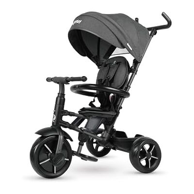 QPLAY Triciclo evolutivo Rito Star compatto e pieghevole, con schienale reclinabile e maniglione direzionale, adatto a bambini da 12 a 72 mesi, portata massima 25 kg QPLAY Triciclo evolutivo Rito Star compatto e pieghevole, con schienale reclinabile e maniglione direzionale, adatto a bambini da 12 a 72 mesi, portata massima 25 kg