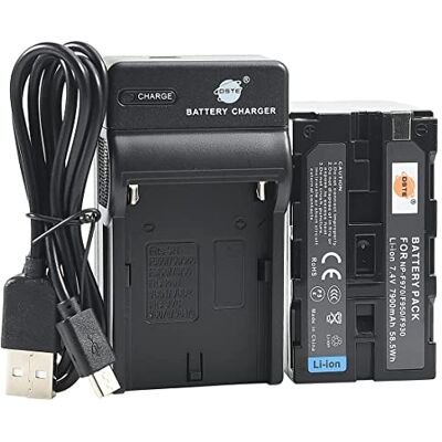 DSTE NP-F970 Li-ION Batteria e caricabatterie USB per Sony CCD-TR716 CCD-TR818 CCD-TR910 CCD-TR917 CCD-TR930 DSTE NP-F970 Li-ION Batteria e caricabatterie USB per Sony CCD-TR716 CCD-TR818 CCD-TR910 CCD-TR917 CCD-TR930