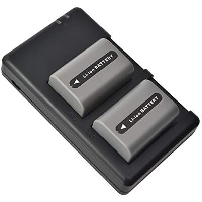 DSTE NP-FP50 Batteria di ricambio (2 pacchetti) e caricatore rapido doppio compatibile per Sony DCR-SR50 DCR-SR60 DCR-SR70 DCR-SR80 DCR-SR90 DCR-SR100 HDR-HC3 DSTE NP-FP50 Batteria di ricambio (2 pacchetti) e caricatore rapido doppio compatibile per Sony DCR-SR50 DCR-SR60 DCR-SR70 DCR-SR80 DCR-SR90 DCR-SR100 HDR-HC3