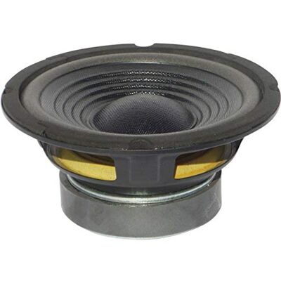 MASTER AUDIO 1 CW800/4+4 subwoofer da 20 cm 200 mm 8" da 150 watt rms e 300 watt max doppia bobina 4 + 4 ohm per cofano bagagliaio auto, 1 pezzo MASTER AUDIO 1 CW800/4+4 subwoofer da 20 cm 200 mm 8" da 150 watt rms e 300 watt max doppia bobina 4 + 4 ohm per cofano bagagliaio auto, 1 pezzo