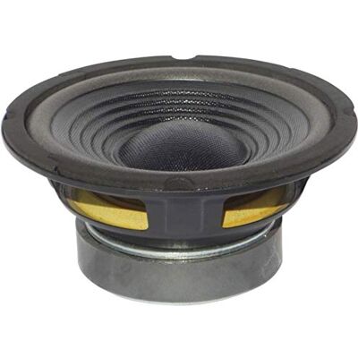 MASTER AUDIO 1 WOOFER CW800/8 CW 800/8 altoparlante da 20,00 cm 200 mm 8" da 150 watt rms e 300 watt max 8 ohm 93 db portiere sportelli auto, 1 pezzo MASTER AUDIO 1 WOOFER CW800/8 CW 800/8 altoparlante da 20,00 cm 200 mm 8" da 150 watt rms e 300 watt max 8 ohm 93 db portiere sportelli auto, 1 pezzo