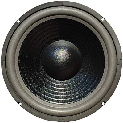 MASTER AUDIO 1 WOOFER CW1000/8 altoparlante da 25,00 cm 250 mm 10" da 220 watt rms e 440 watt max impedenza 8 ohm casa sensibilità 90 db, 1 pezzo MASTER AUDIO 1 WOOFER CW1000/8 altoparlante da 25,00 cm 250 mm 10" da 220 watt rms e 440 watt max impedenza 8 ohm casa sensibilità 90 db, 1 pezzo