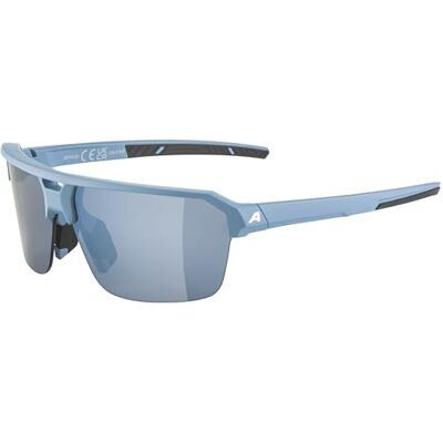 ALPINA Swift HR Occhiali da sole eleganti per adulti, colore: blu fumo opaco ALPINA Swift HR Occhiali da sole eleganti per adulti, colore: blu fumo opaco