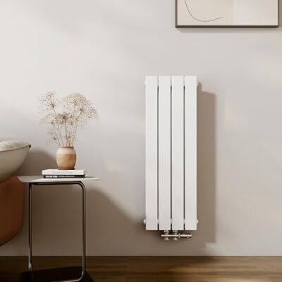 EMKE Radiatore di design, piccolo, 900 x 304 mm, verticale, con attacco centrale, a doppio strato, per bagno, camera da letto e soggiorno, bianco 559 W EMKE Radiatore di design, piccolo, 900 x 304 mm, verticale, con attacco centrale, a doppio strato, per bagno, camera da letto e soggiorno, bianco 559 W