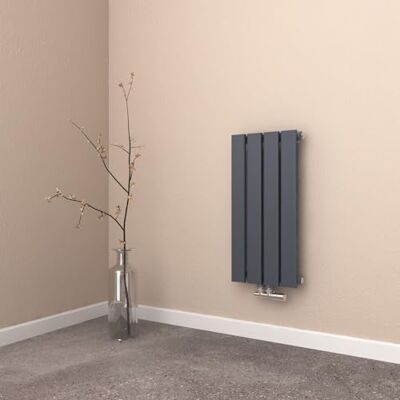 EMKE Radiatore di design, 300 x 600 mm, colore antracite, monostrato, piccolo, per bagno e soggiorno, con attacco centrale EMKE Radiatore di design, 300 x 600 mm, colore antracite, monostrato, piccolo, per bagno e soggiorno, con attacco centrale