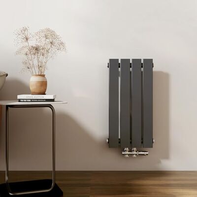 EMKE Radiatore piatto verticale per bagno, raccordo centrale, 1 strato, antracite, 233 W EMKE Radiatore piatto verticale per bagno, raccordo centrale, 1 strato, antracite, 233 W