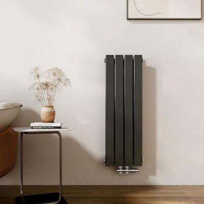EMKE Radiatore di design, piccolo, 900 x 304 mm, verticale, con attacco centrale, a doppio strato, per bagno, camera da letto e soggiorno, colore nero, 559 W EMKE Radiatore di design, piccolo, 900 x 304 mm, verticale, con attacco centrale, a doppio strato, per bagno, camera da letto e soggiorno, colore nero, 559 W
