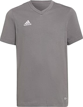 Adidas Entrada 22 T-Shirt, T-Shirt Donna, Team Grey Four, XS