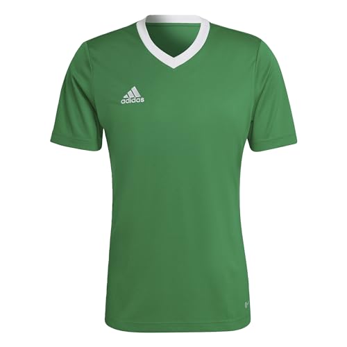 Adidas Entrada 22 Short Sleeve Jersey, T-shirt Uomo, Team Green/White, L