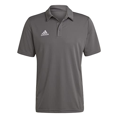 Adidas Entrada 22 Short Sleeve Polo Shirt Maglietta, Team Grey Four, 3XL Uomo