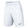 Nike Mens Shorts M Nk DF Park III Short NB K, White/Pine Green, , M