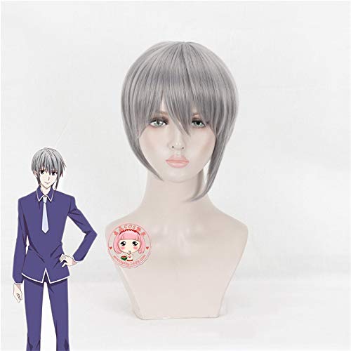 EQWR Anime Fruits Basket Soma Souma Yuki Parrucca corta grigia Cosplay Costume Furutsu Basuketto Capelli sintetici resistenti al calore Parrucche da uomo MZ-1393