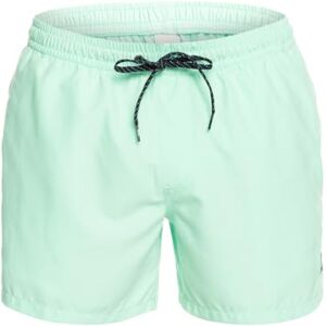 Quiksilver Everyday Volley 15" Jam/Volley per Uomo Blue Green XXL Quiksilver Everyday Volley 15" Jam/Volley per Uomo Blue Green XXL