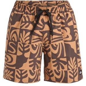 Quiksilver Everyday Pantaloncini da Bagno Dritti da pallavolo 17 da Uomo, Colore: Marrone XS Quiksilver Everyday Pantaloncini da Bagno Dritti da pallavolo 17 da Uomo, Colore: Marrone XS