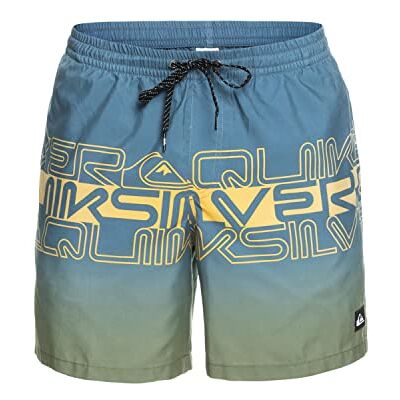 Quiksilver Everyday Wordblock Volley 17 Costume a Pantaloncino Uomo (Pacco da 1) Quiksilver Everyday Wordblock Volley 17 Costume a Pantaloncino Uomo (Pacco da 1)