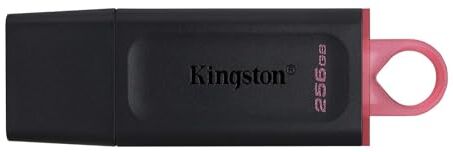 Kingston DataTraveler Exodia DTX/256GB Flash Drive USB 3.2 Gen 1 con cappuccio protettivo e anello portachiavi in colori multipli