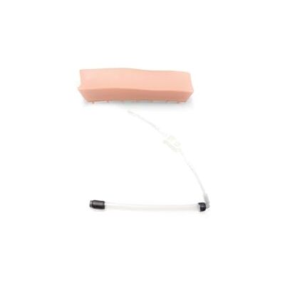 3B Scientific Inserto Geriatrico LOR per Trainer Epidurale & Spinale P61 3B Scientific Inserto Geriatrico LOR per Trainer Epidurale & Spinale P61