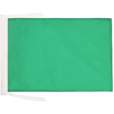 AZ FLAG Bandiera Commissario di pista verde 45x30 cm Cordini AZ FLAG Bandiera Commissario di pista verde 45x30 cm Cordini