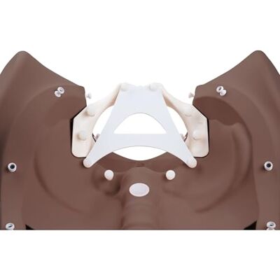 3B Scientific Trainer delle Fasi del Parto P94D – carnagione scura 3B Scientific Trainer delle Fasi del Parto P94D – carnagione scura