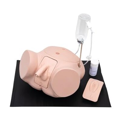 3B Scientific Set PRO Simulatore di Cateterizzazione P93SPC‑S (maschile e femminile, tono chiaro) 3B Scientific Set PRO Simulatore di Cateterizzazione P93SPC‑S (maschile e femminile, tono chiaro)