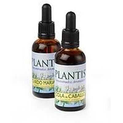 Plantis Elm No. 11 Elisir Floreale Eco - 10ml Plantis Elm No. 11 Elisir Floreale Eco - 10ml