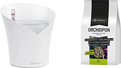 Lechuza ORCHIDEA Vaso da fiori per interni e interni, senza foro di drenaggio, con substrato per piante, in poliresina D18 H19,5 cm, colore: Bianco opaco & ORCHIDPON 3 Liter