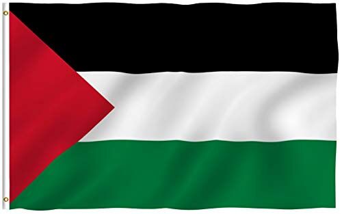 Anley Fly Breeze 3x5 Piedi Bandiera Palestina Colore Vivido e Resistente Ai Raggi UV Testata in Tela E Doppie Cuciture Bandiera Palestinese Poliestere Anelli Ottone 3 X 5 Piedi