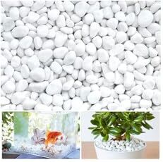 LuluDa Ciottoli Bianchi Piccole Pietre Bianche Come La Neve Pietre Naturali da Giardino Ciottoli Decorativi per Vaso da Fiori Acquari da Giardino Succulenti Acquario (500g)