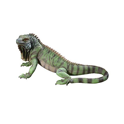 Design Toscano Iggy l'Iguana Statua da giardino, poliresina, a colori, 56 cm